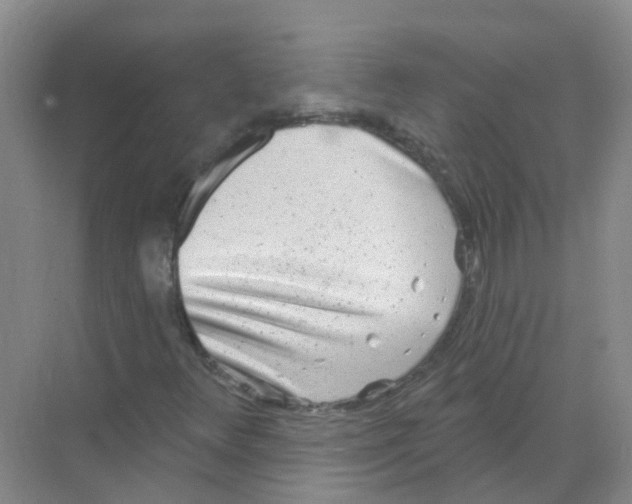 X0000068271348200605121835