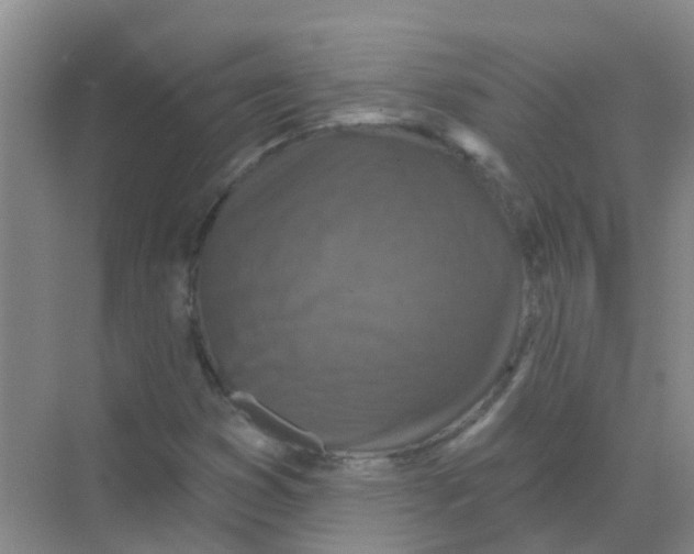 X0000068271353200605121835