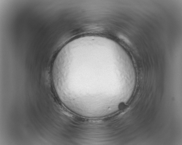 X0000068271354200605121835