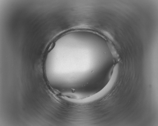 X0000068271356200605121835