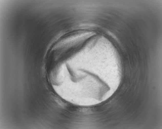 X0000068271362200605121835