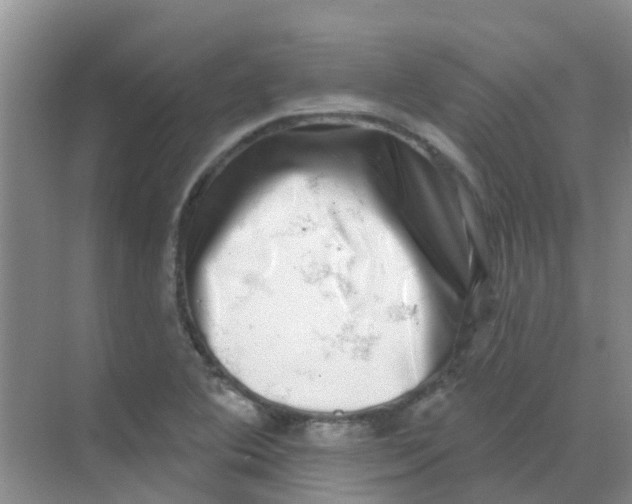 X0000068271364200605121835