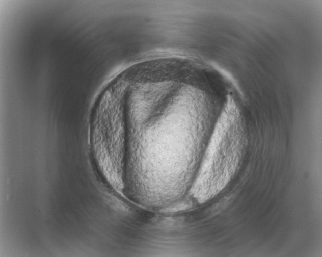 X0000068271365200605121835