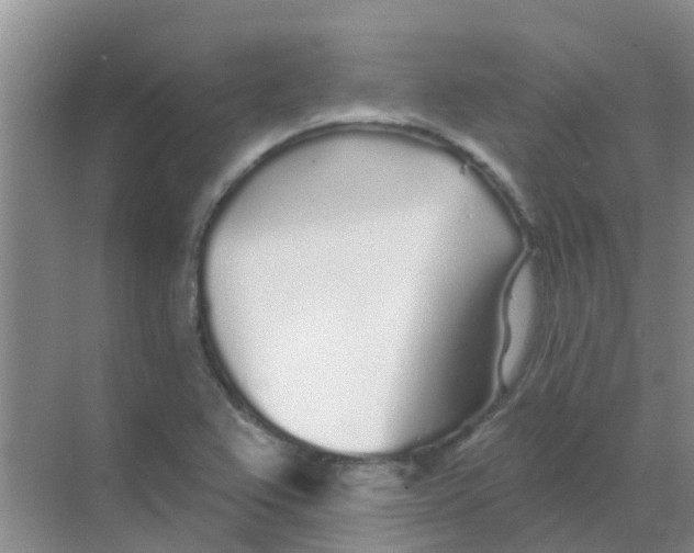 X0000068271367200605121835