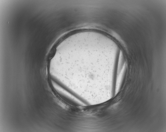 X0000068271368200605121835