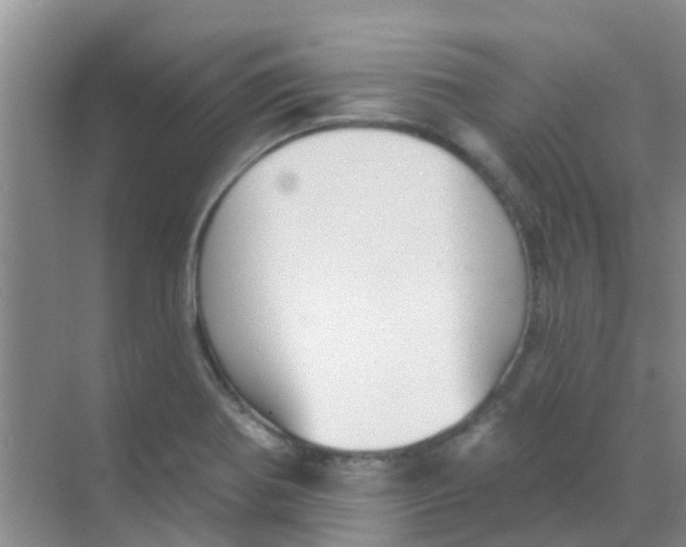 X0000068271370200605121835