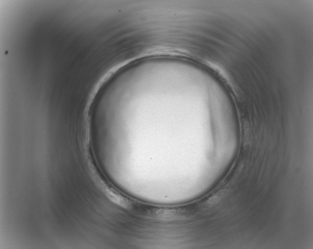 X0000068271371200605121835