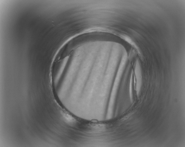 X0000068271372200605121835