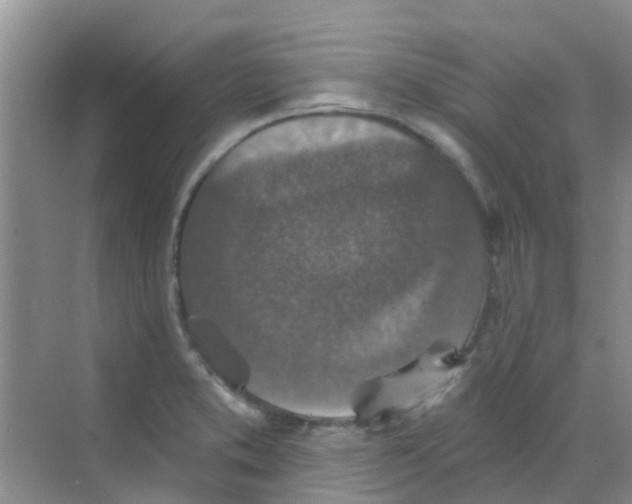 X0000068271373200605121835