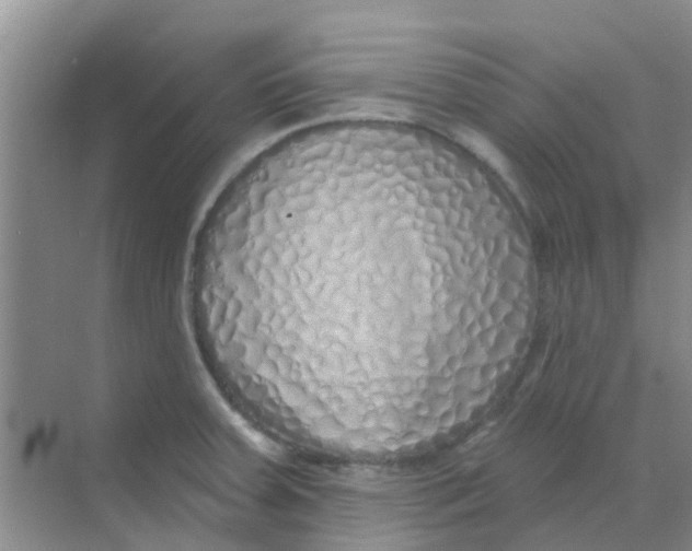 X0000068271379200605121835