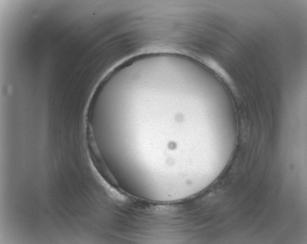 X0000068271380200605121835