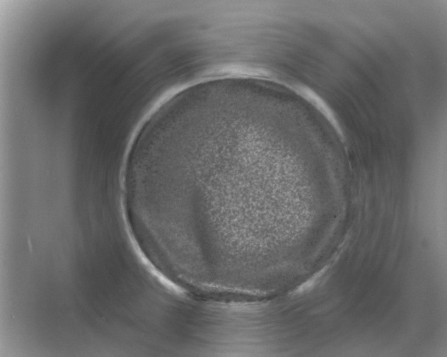 X0000068271381200605121835