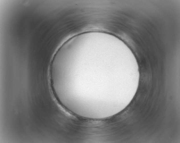 X0000068271382200605121835