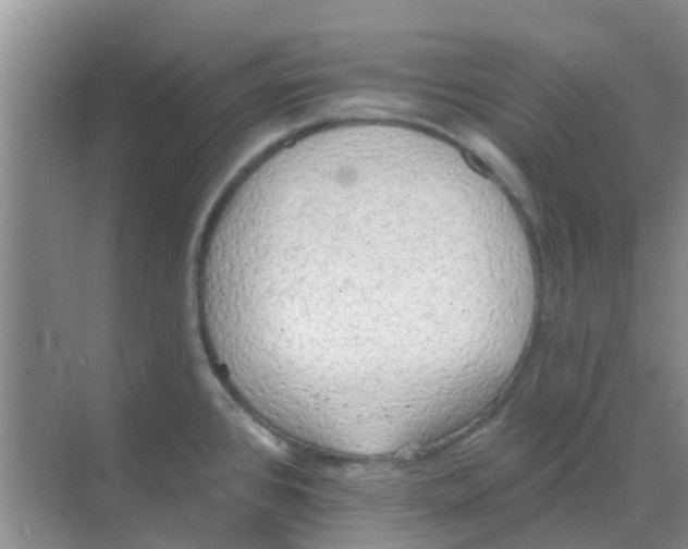 X0000068271384200605121835