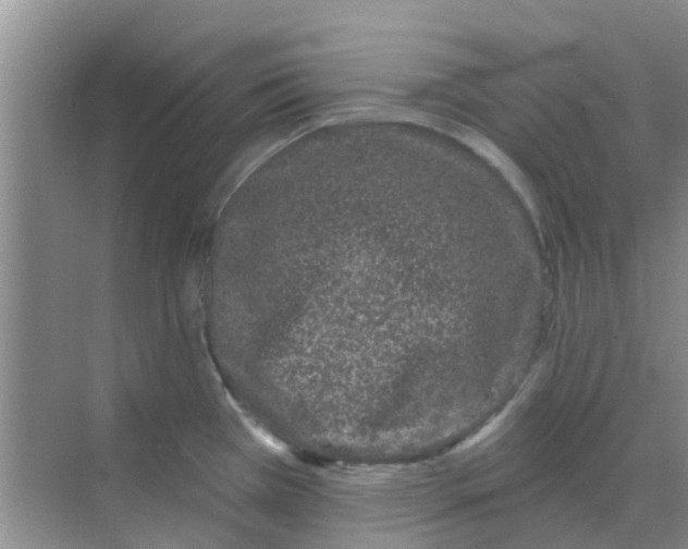 X0000068271385200605121835