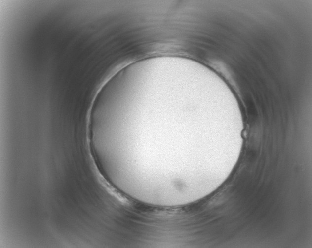 X0000068271386200605121835