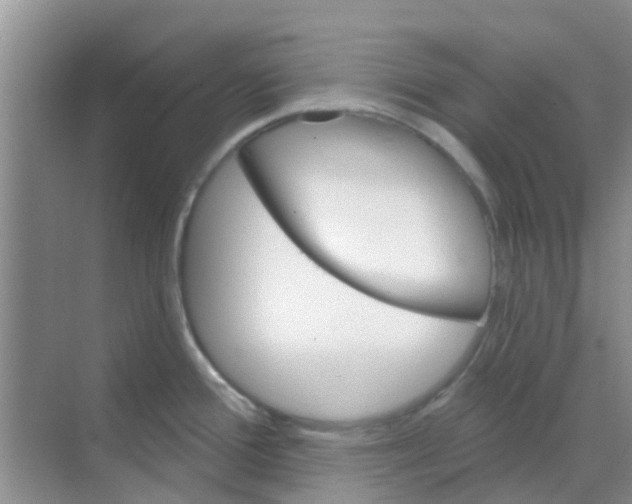 X0000068271388200605121835