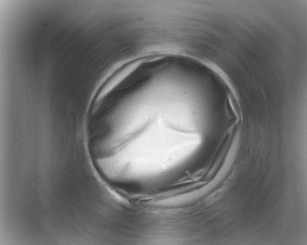 X0000068271389200605121835