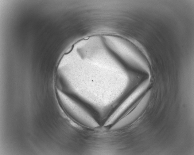 X0000068271390200605121835