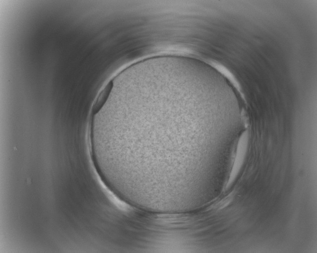 X0000068271391200605121835