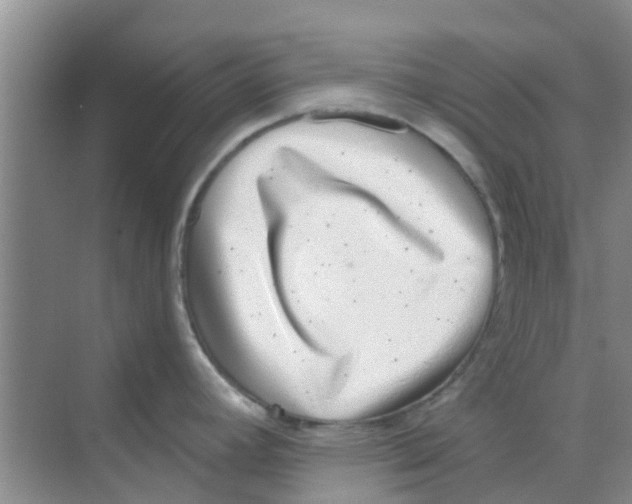 X0000068271392200605121835