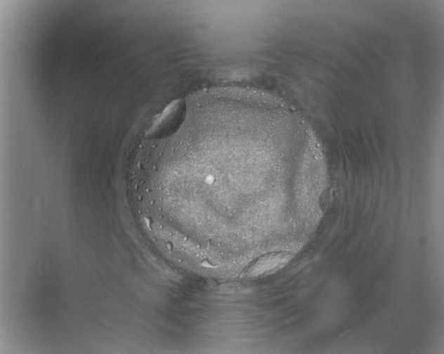 X0000068271393200605121834