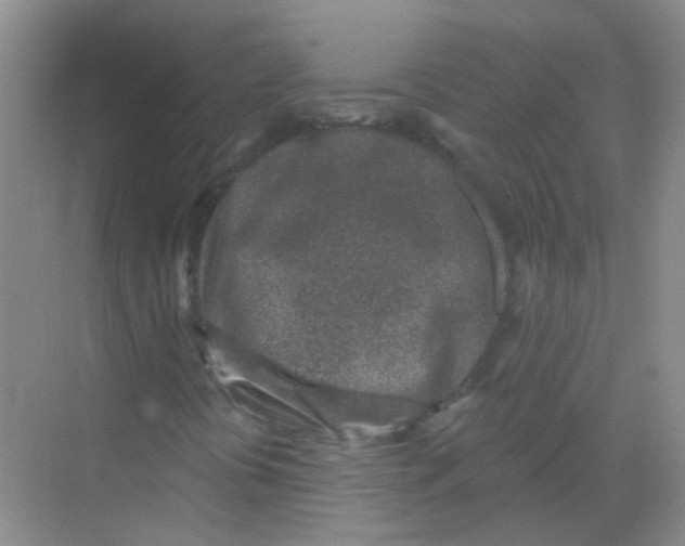 X0000068271394200605121834