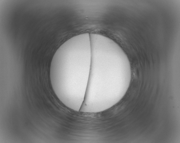 X0000068271396200605121834