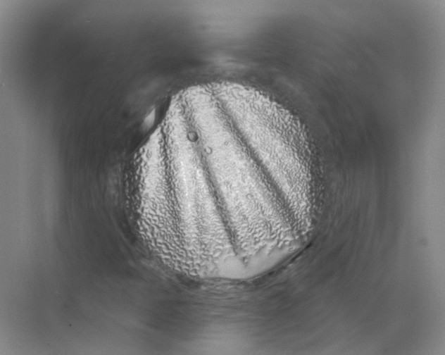 X0000068271397200605121834