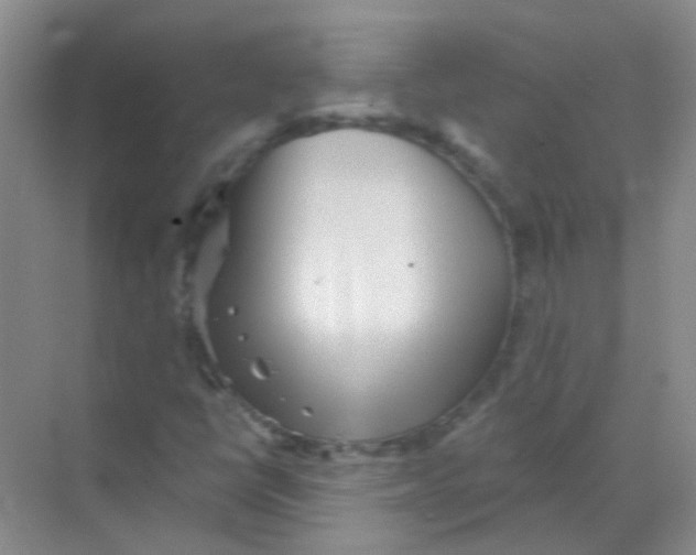 X0000068271398200605121834