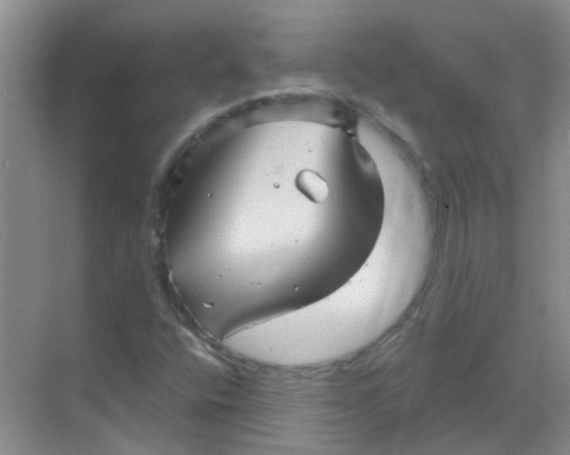 X0000068271400200605121834