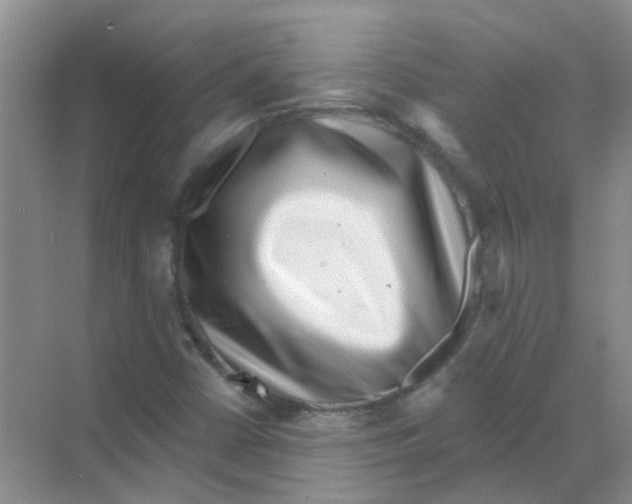 X0000068271402200605121834