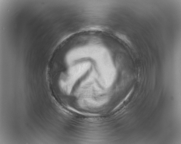 X0000068271404200605121834