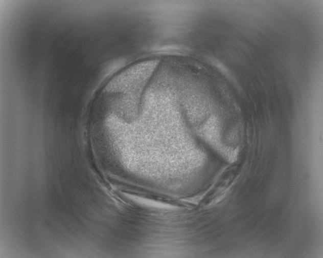 X0000068271405200605121834