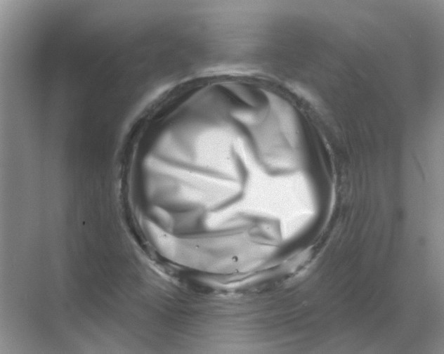 X0000068271406200605121834