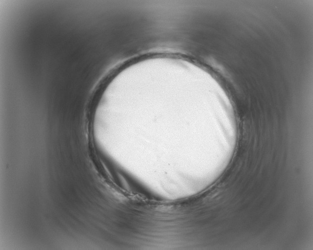 X0000068271408200605121834