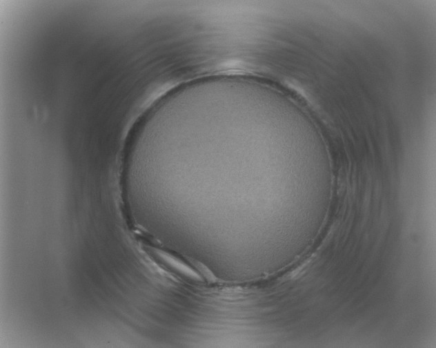 X0000068271410200605121834