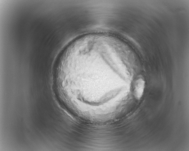 X0000068271415200605121834