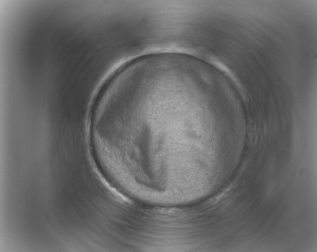 X0000068271416200605121834