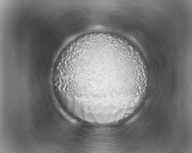 X0000068271421200605121834