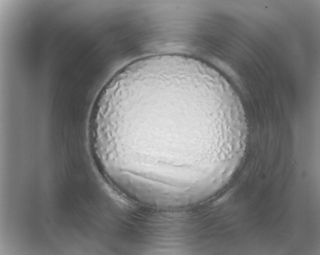 X0000068271423200605121834