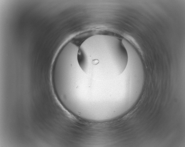 X0000068271424200605121834