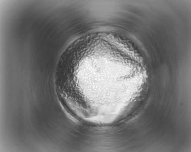 X0000068271425200605121834