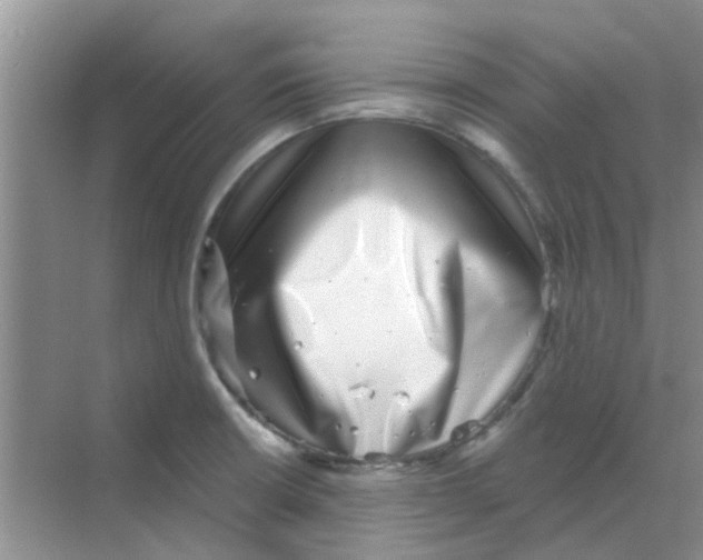 X0000068271426200605121834