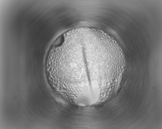 X0000068271427200605121834