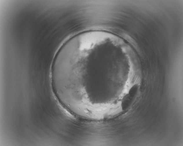 X0000068271428200605121834