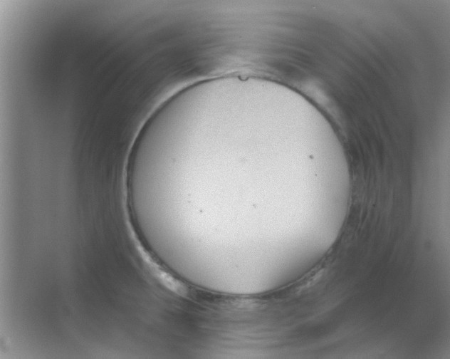 X0000068271431200605121834