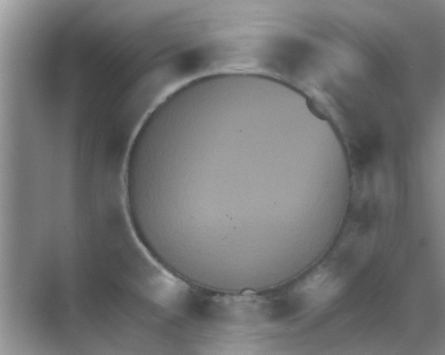 X0000068271432200605121834