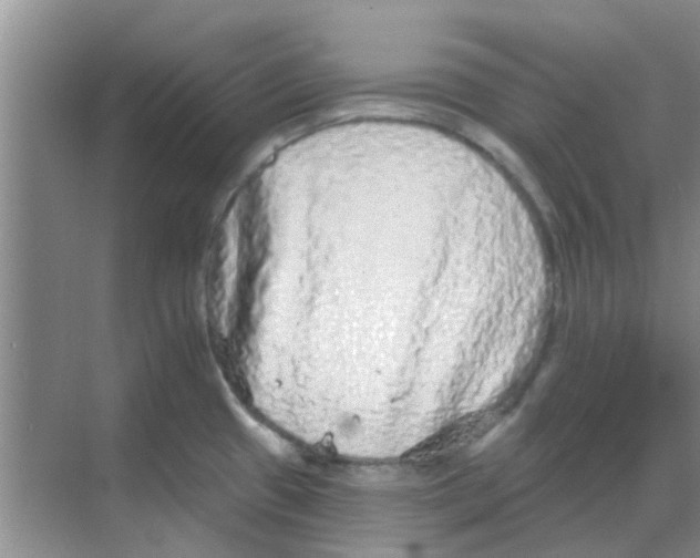 X0000068271433200605121834