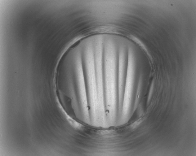 X0000068271434200605121834